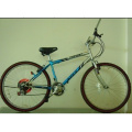 Wholesale Adult Variable Speed High Carbon Steel Frame Disk Brake Mountain Bike Bicycle